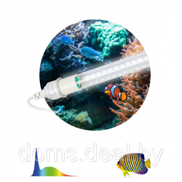 Фитолампа для растений и рыб светодиодная ЭРА FITO-15W-Ra90-Т8-AQUA для аквариума, 15Вт, полный спектр Эра - фото 1 - id-p221221296