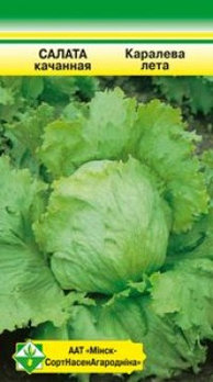 Салат кочанный (хрустящий) Королева лета