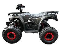 Квадроцикл WELS Thunder AX125 Pro черный