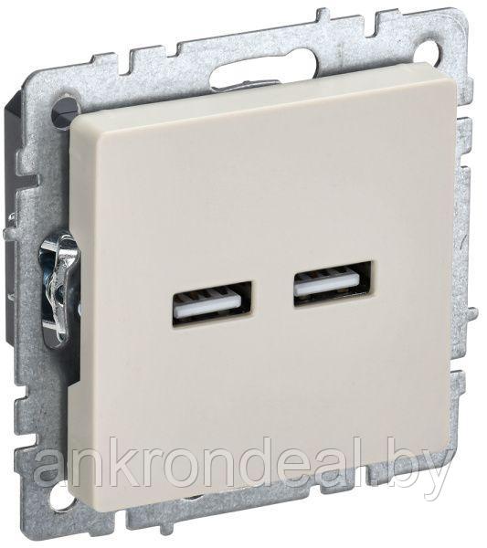 BRITE Розетка USB A+A 5В 3,1А РЮ10-1-БрКр бежевый IEK - фото 1 - id-p221029281