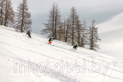 Горные лыжи с креплениями Elan 2021-22 Youth Jett Quick Shift 100-120 & EL 4.5 / AFDHSH21 - фото 6 - id-p221335921