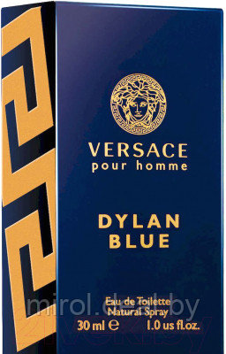 Туалетная вода Versace Dylan Blue Pour Homme - фото 2 - id-p221345191