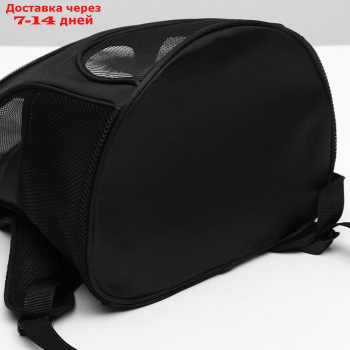 Рюкзак для переноски животных, 31,5 х 25 х 33 см, черный - фото 4 - id-p221317398