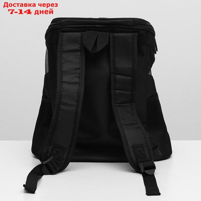 Рюкзак для переноски животных, 31,5 х 25 х 33 см, черный - фото 6 - id-p221317398