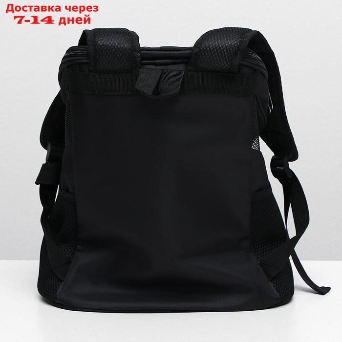 Рюкзак для переноски животных, 31,5 х 25 х 33 см, черный - фото 7 - id-p221317398