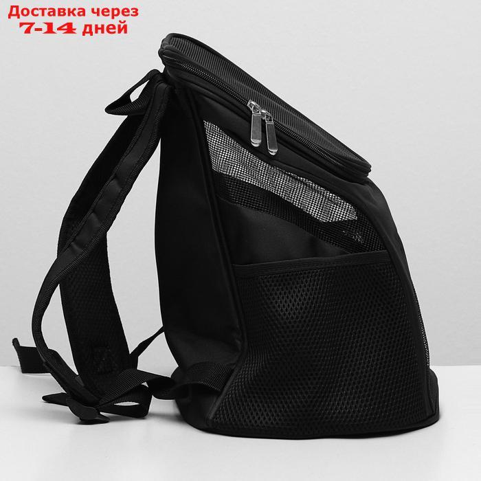 Рюкзак для переноски животных, 31,5 х 25 х 33 см, черный - фото 8 - id-p221317398
