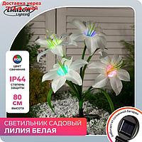 Светильник садовый на солнечной батарее "Лилия белая" 80 см, 4 LED, МУЛЬТИ