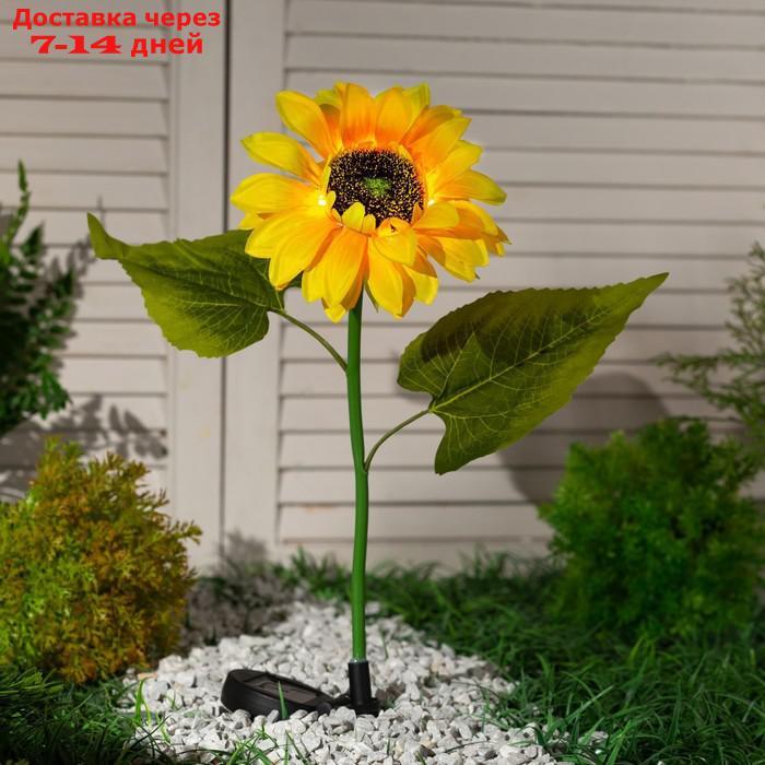 Фонарь садовый на солнечной батарее "Подсолнух" 80 см, 5 LED, БЕЛЫЙ - фото 2 - id-p221317420
