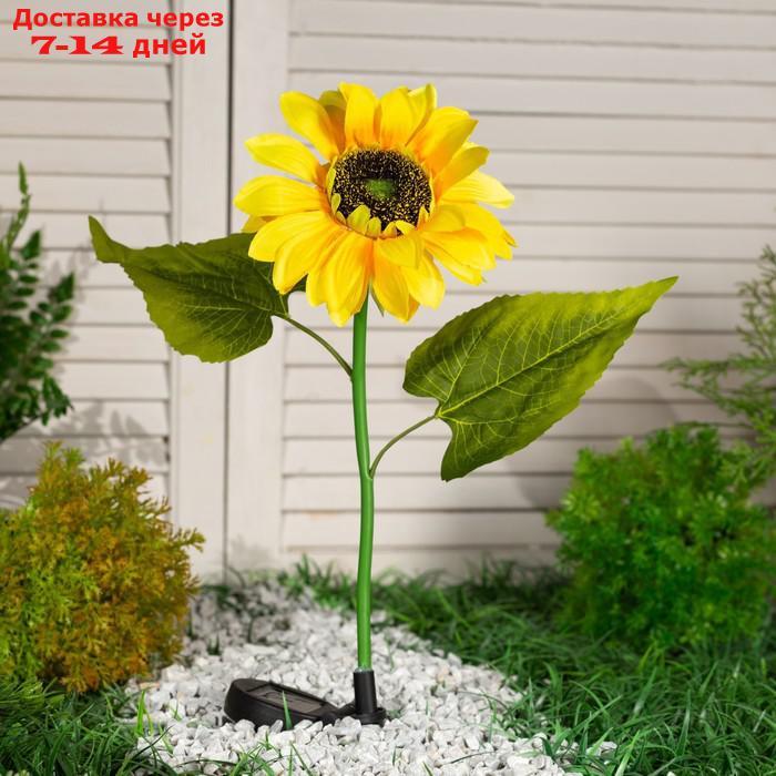 Фонарь садовый на солнечной батарее "Подсолнух" 80 см, 5 LED, БЕЛЫЙ - фото 3 - id-p221317420