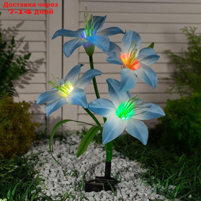 Светильник садовый на солнечной батарее "Лилия синяя" 80 см, 4 LED, МУЛЬТИ - фото 2 - id-p221317421
