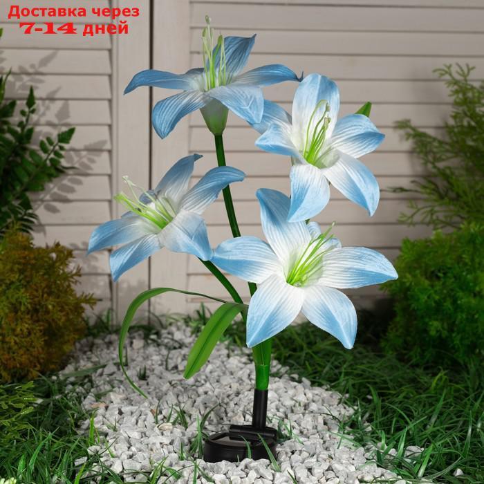 Светильник садовый на солнечной батарее "Лилия синяя" 80 см, 4 LED, МУЛЬТИ - фото 3 - id-p221317421