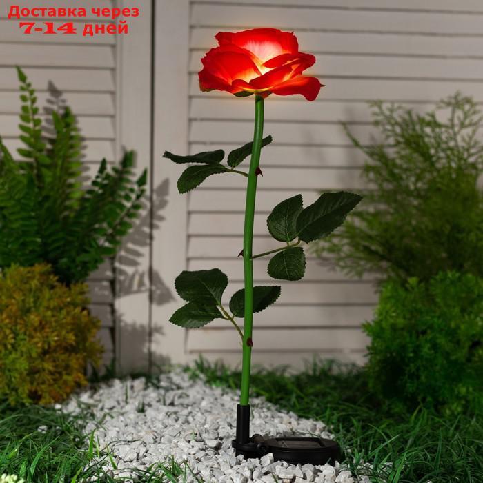 Фонарь садовый на солнечной батарее "Роза розовая" 75 см, 1 LED, БЕЛЫЙ - фото 2 - id-p221317423