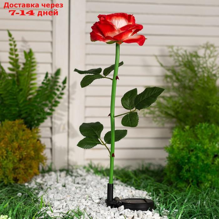Фонарь садовый на солнечной батарее "Роза розовая" 75 см, 1 LED, БЕЛЫЙ - фото 3 - id-p221317423
