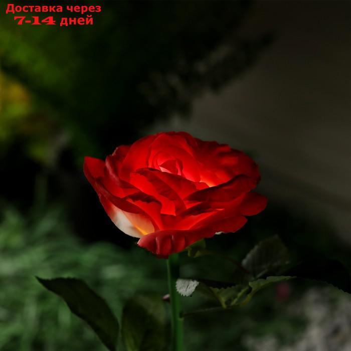 Фонарь садовый на солнечной батарее "Роза розовая" 75 см, 1 LED, БЕЛЫЙ - фото 4 - id-p221317423