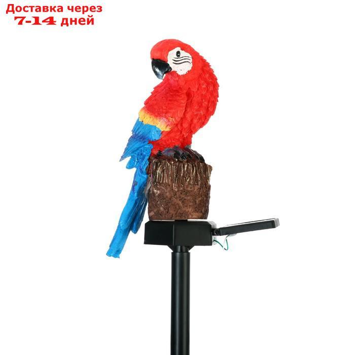 Фонарь садовый на солнечной батарее "Попугай Ара" 43 см, 5W, 1.2V, 1 LED, Т/БЕЛЫЙ - фото 3 - id-p221317621