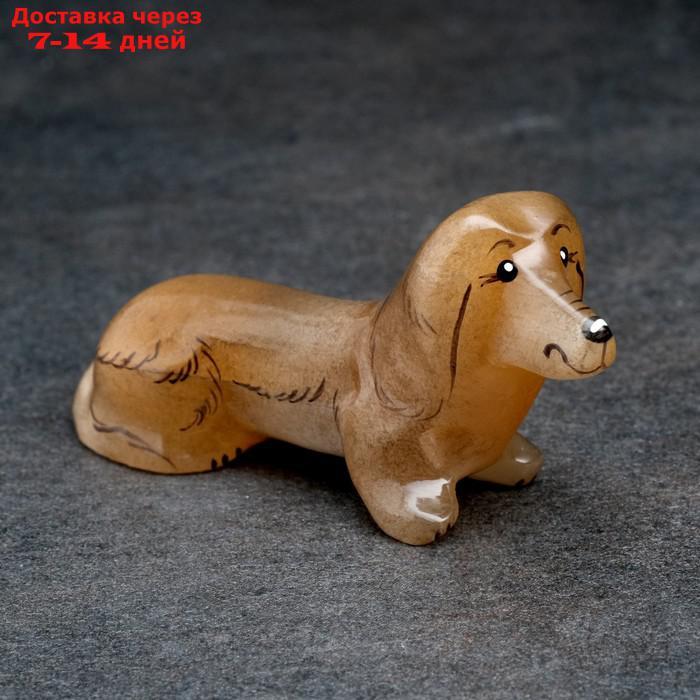 Сувенир "Собака Такса" - фото 5 - id-p221317864