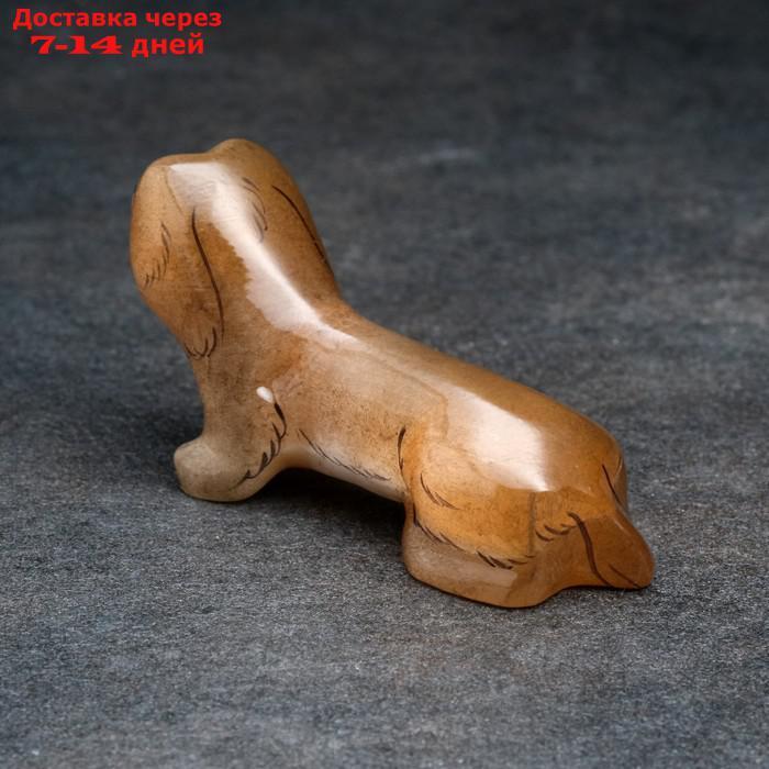 Сувенир "Собака Такса" - фото 6 - id-p221317864