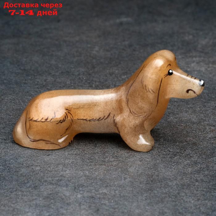 Сувенир "Собака Такса" - фото 7 - id-p221317864