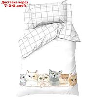 КПБ "Этель" 1,5 сп Happy cats 143х215 см, 150х214 см, 50х70 см -1 шт, 100 % хлопок, бязь