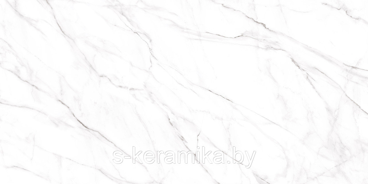 ALMA Ceramica Керамогранит NEO CALACATTA Серая Матовая GFU60120NCL07R 570x1140 8.5