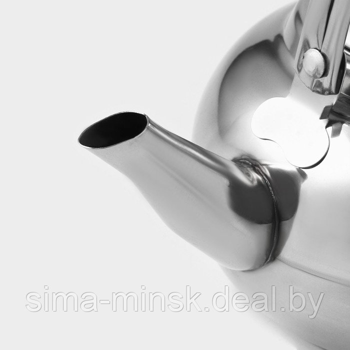 Чайник из нержавеющей стали «Гретель», 1,1 л, металлическое сито, цвет хромированный - фото 4 - id-p221479272