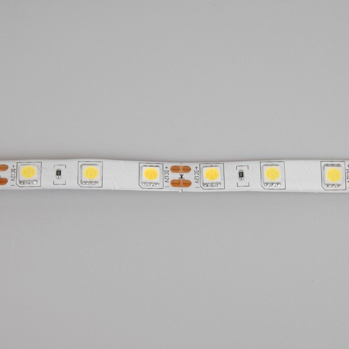 Cветодиодная лента Ecola PRO 5 м, IP65, SMD5050, 60 LED/м, 14.4 Вт/м, 12 В, 4200К - фото 6 - id-p221494760