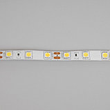 Cветодиодная лента Ecola PRO 5 м, IP65, SMD5050, 60 LED/м, 14.4 Вт/м, 12 В, 4200К, фото 6
