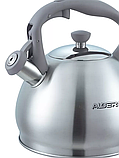 Чайник для плиты ALBERG AL-3044 3 литра, матовая полировка, фото 2