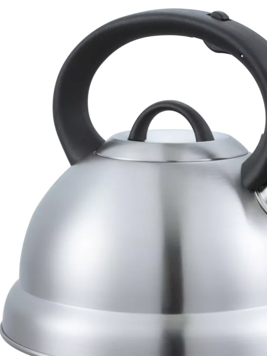 Чайник Нержавеющая сталь для плиты 3 литра, матовая полировка ALBERG AL-3045 - фото 3 - id-p221550627
