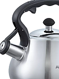 Чайник нержавеющая сталь для плиты  2.6 литра, матовая полировкаALBERG AL-3051 2.6, фото 3
