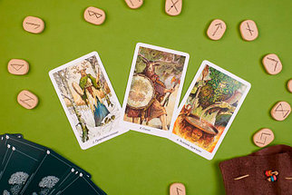 Таро Дикого леса / The Wildwood Tarot. 78 карт и руководство для гадания в подарочной коробке, фото 2