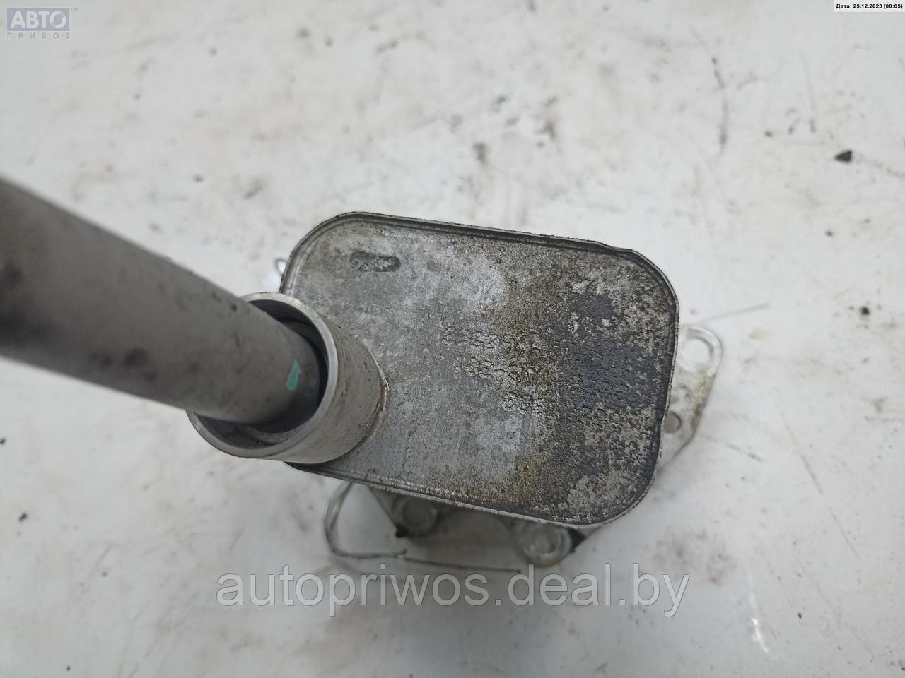 Радиатор масляный Opel Astra J - фото 3 - id-p221560658