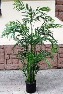 Искусственное растение ForGarden Дерево Areca Palm / FGN BF01709 - фото 1 - id-p221583165