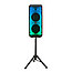 Профессиональная стойка (штатив) для акустических систем, колонок ELTRONIC  (600-1138мм) арт. 10-01 c, фото 9