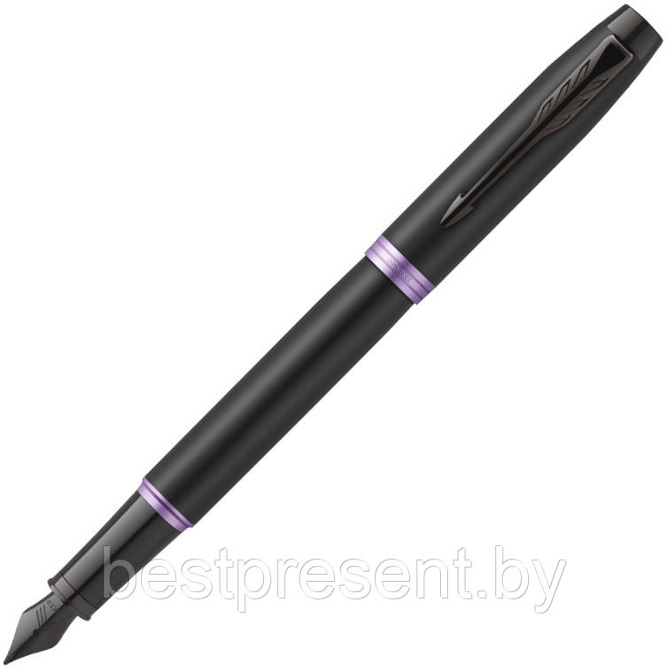 Ручка перьевая "IM Vibrant Rings F315 Amethyst Purple PVD" черный/фиолетовый - фото 1 - id-p221612661