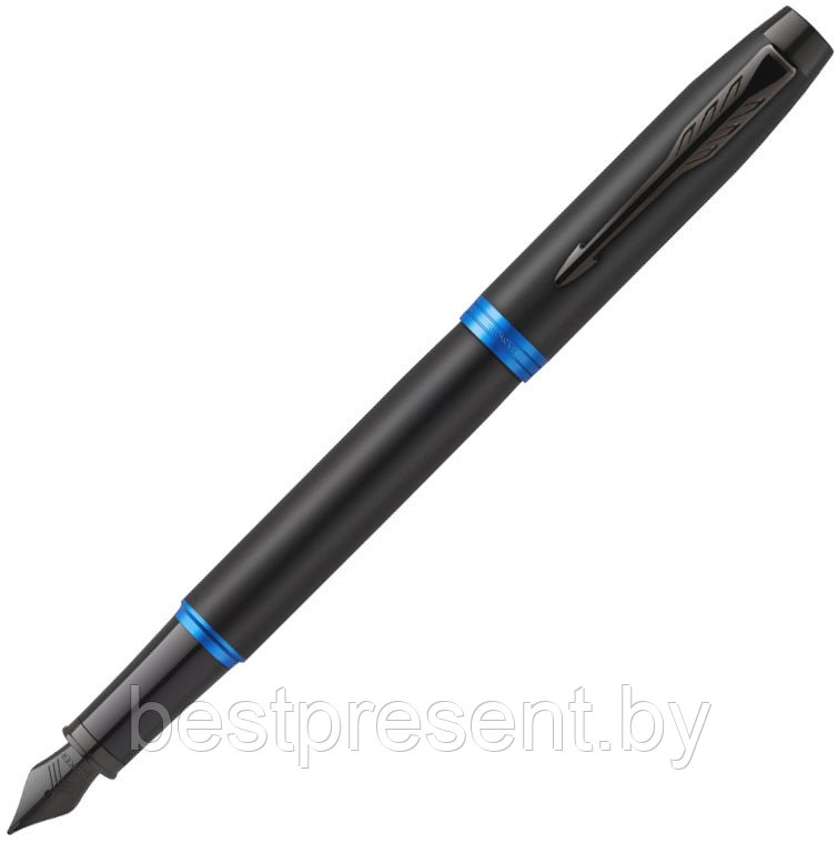 Ручка перьевая "IM Vibrant Rings F315 Marine Blue PVD" черный/синий - фото 1 - id-p221612671