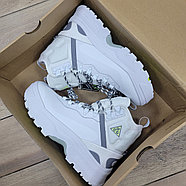 Кроссовки Nike ACG Zoom Gaiadome GORE TEX White, фото 6