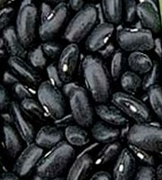 Фасоль овощная Чёрные глаза, семена, 5гр., (аэ) - фото 1 - id-p221658243