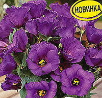 Эустома Балконная F1 фиолетовая, семена, 5шт., (аэ)