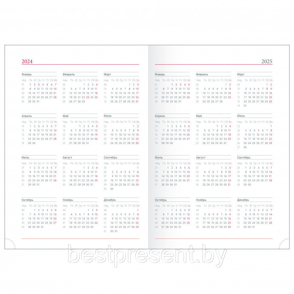 Ежедневник датированный "Velure" А5, 2024, бордовый - фото 4 - id-p221668472
