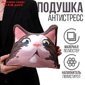 Антистресс подушка "Кот удивленный"