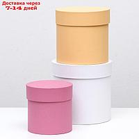 Набор шляпных коробок 3 в 1 "Разноцветные" , 18 х 16 х 13 см