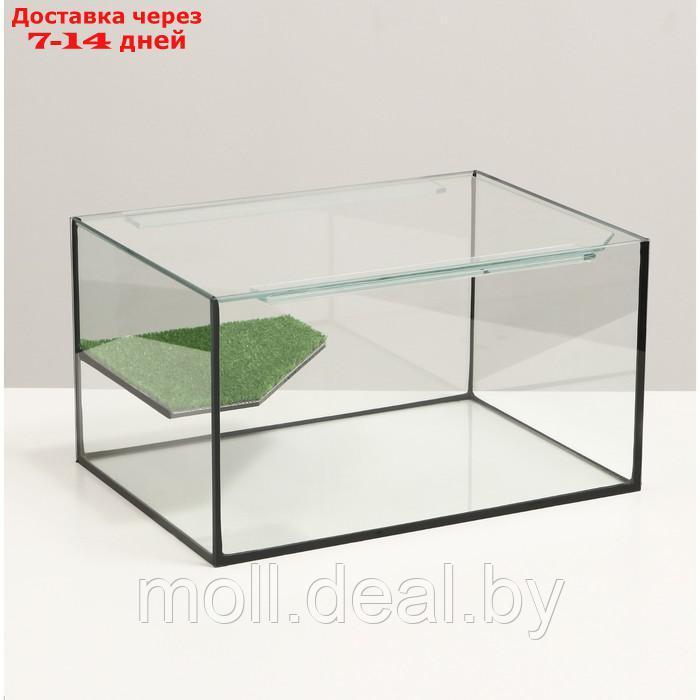Террариум с покровным стеклом и мостиком 25 литров, 40х29х22 см - фото 1 - id-p221601135