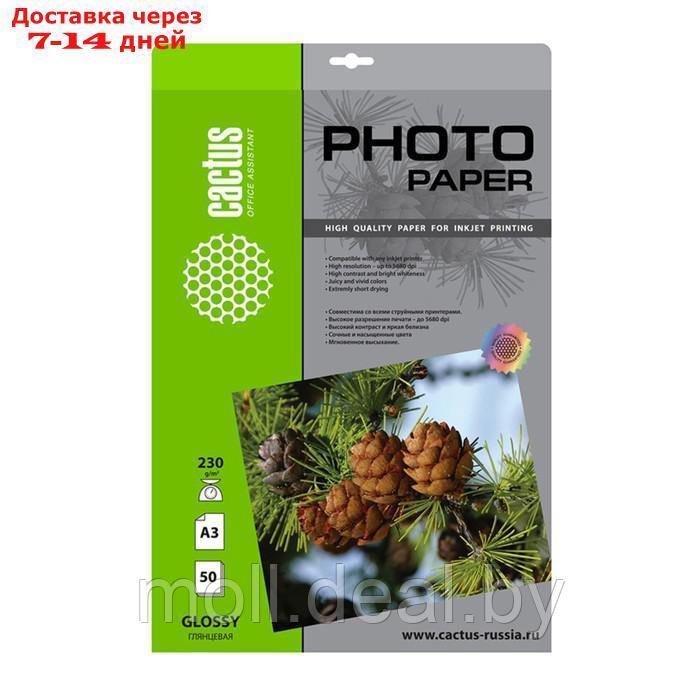 Фотобумага для струйной печати А3, 50 листов Cactus, 230 г/м2, односторонняя, глянцевая - фото 1 - id-p221632168