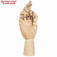 Деревянная фигура "Анатомические детали: Рука правая женская", высота 25 см, BRAUBERG