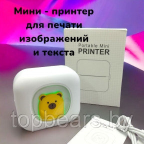 Портативный USB мини принтер Portable Mini Printer для термопечати (батарея 800мАч, 1 рулон термобумаги в - фото 1 - id-p221674762