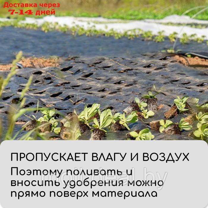 Агроткань застилочная, с разметкой, 10 × 3,2 м, плотность 100 г/м², полипропилен, чёрная - фото 5 - id-p221611867