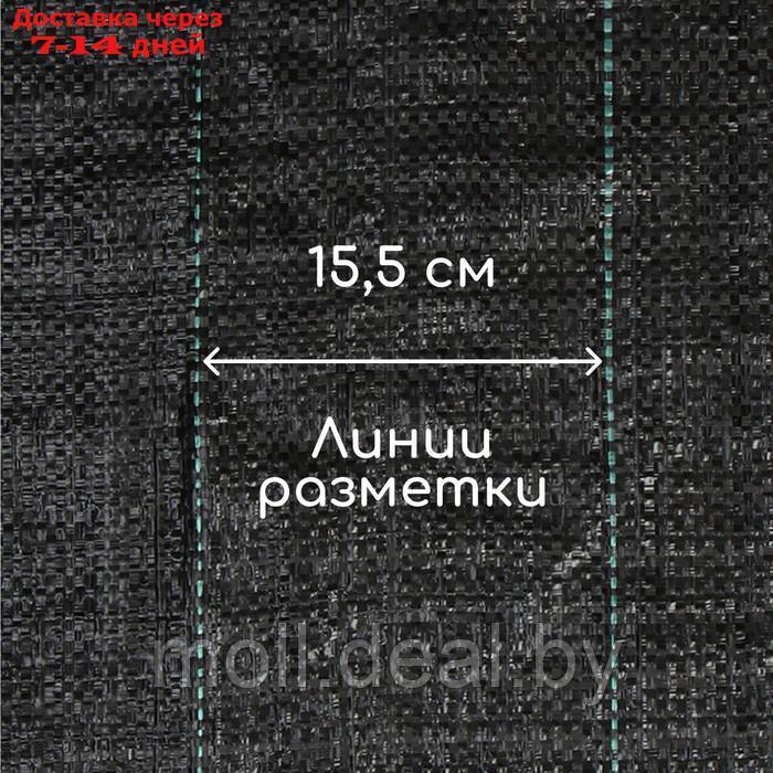 Агроткань застилочная, с разметкой, 10 × 3,2 м, плотность 100 г/м², полипропилен, чёрная - фото 7 - id-p221611867