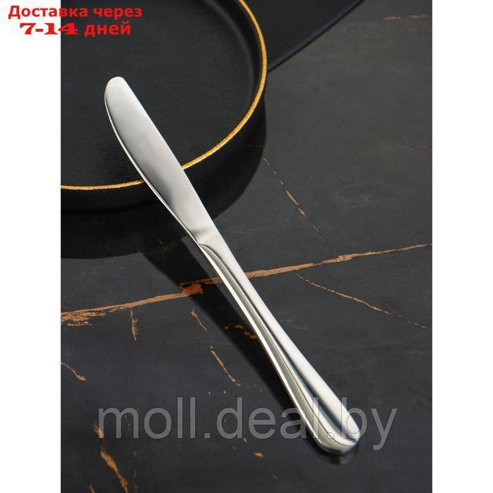 Набор ножей десертных Доляна, h=20,5 см, толщина 5 мм, 410 сталь, 3 шт - фото 2 - id-p221612531
