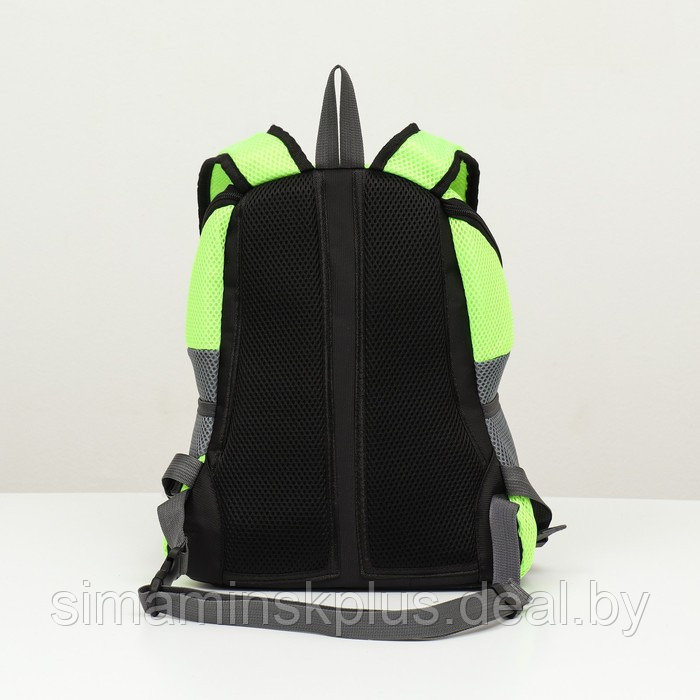 Рюкзак-переноска для животных, максимальный вес 10 кг, 30 х 16 х 34 см, зелёный - фото 4 - id-p221682007